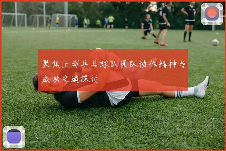 聚焦上海乒乓球队团队协作精神与成功之道探讨